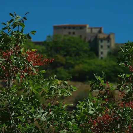 La Terrazza Sul Turano *