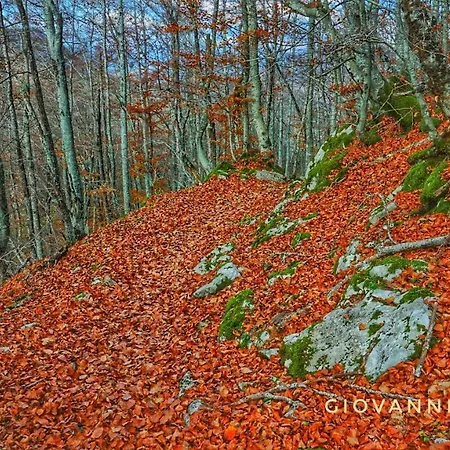 La Terrazza Sul Turano * Vermiglio